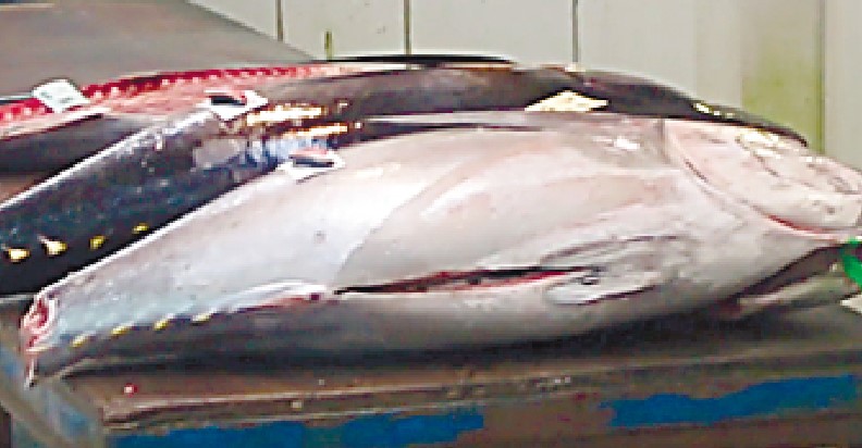 【正社員】会津丸善水産㈱/営業(水産物販売)